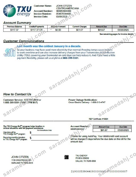 USA TXU Energy utility bill template in Word and PDF formats, version 4